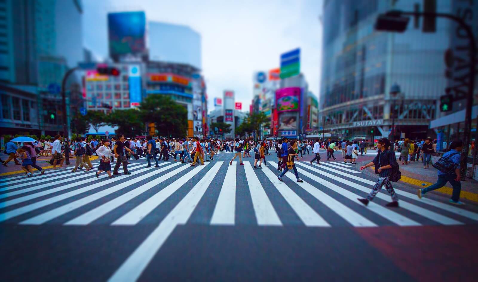 成熟された動画市場に、印刷会社が参入。