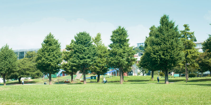 横浜の公園の画像