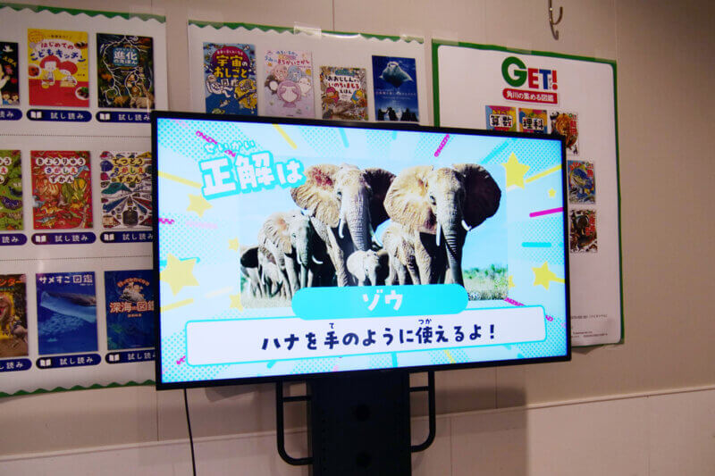 クイズ動画の画像